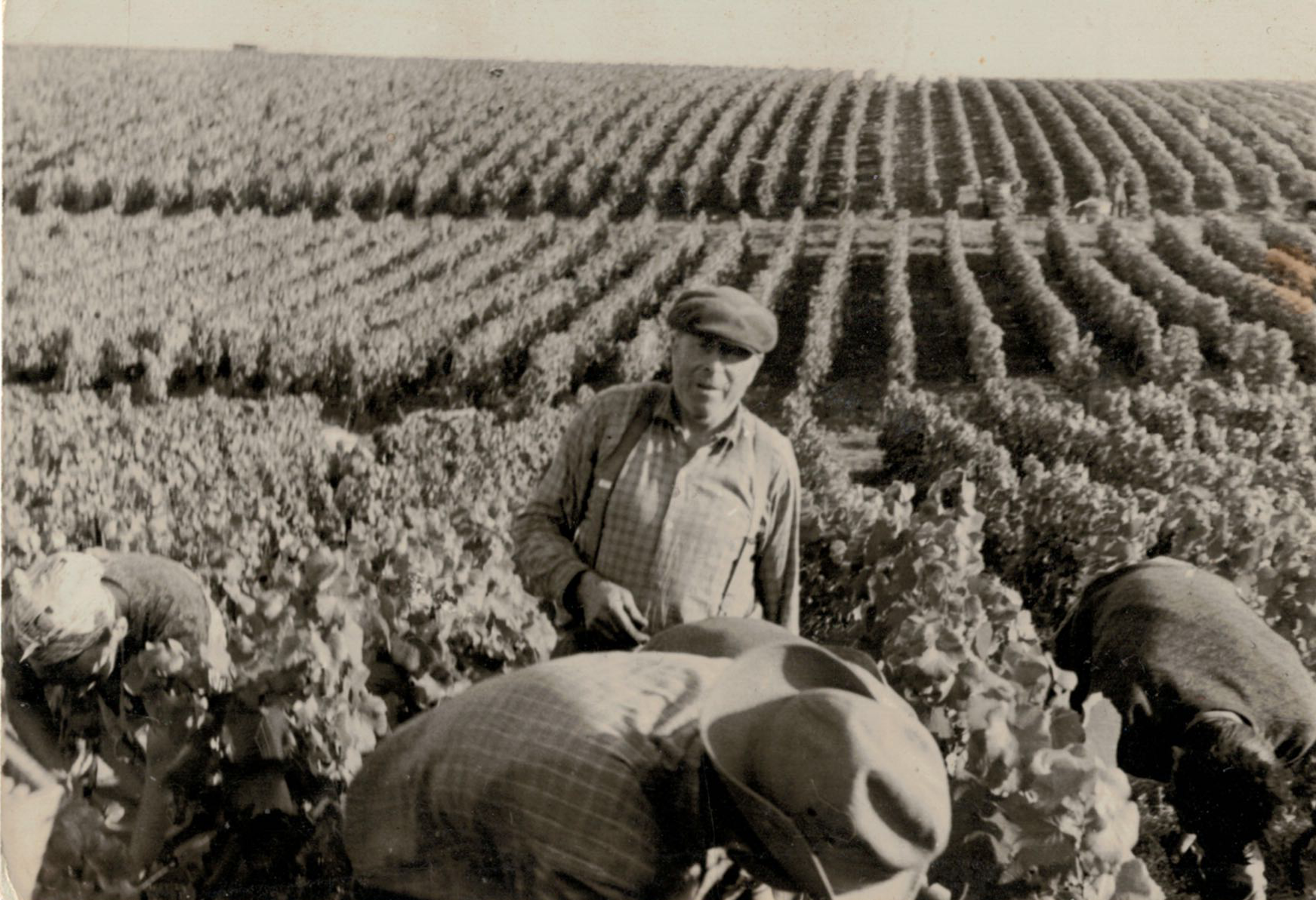 Historique du Champagne Francois Girard